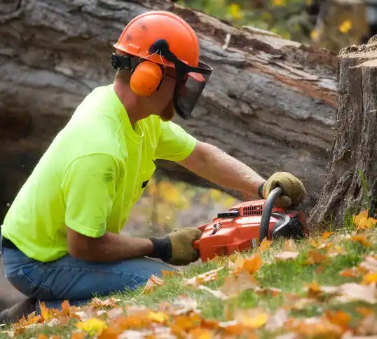 tree services Chesterland